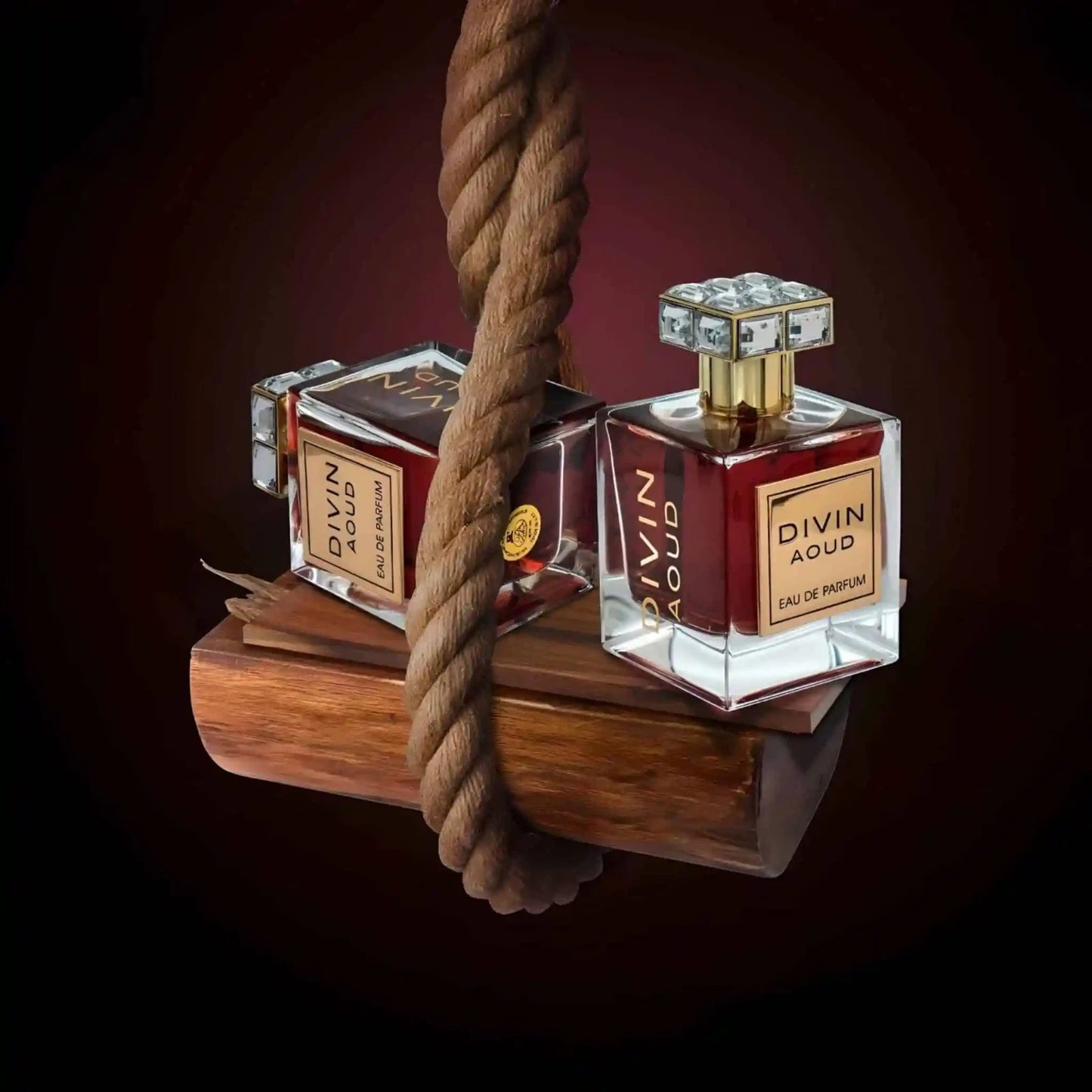 Divin Aoud | Eau De Parfum 100ml | By FA Paris (Fragrance World) - Amazing