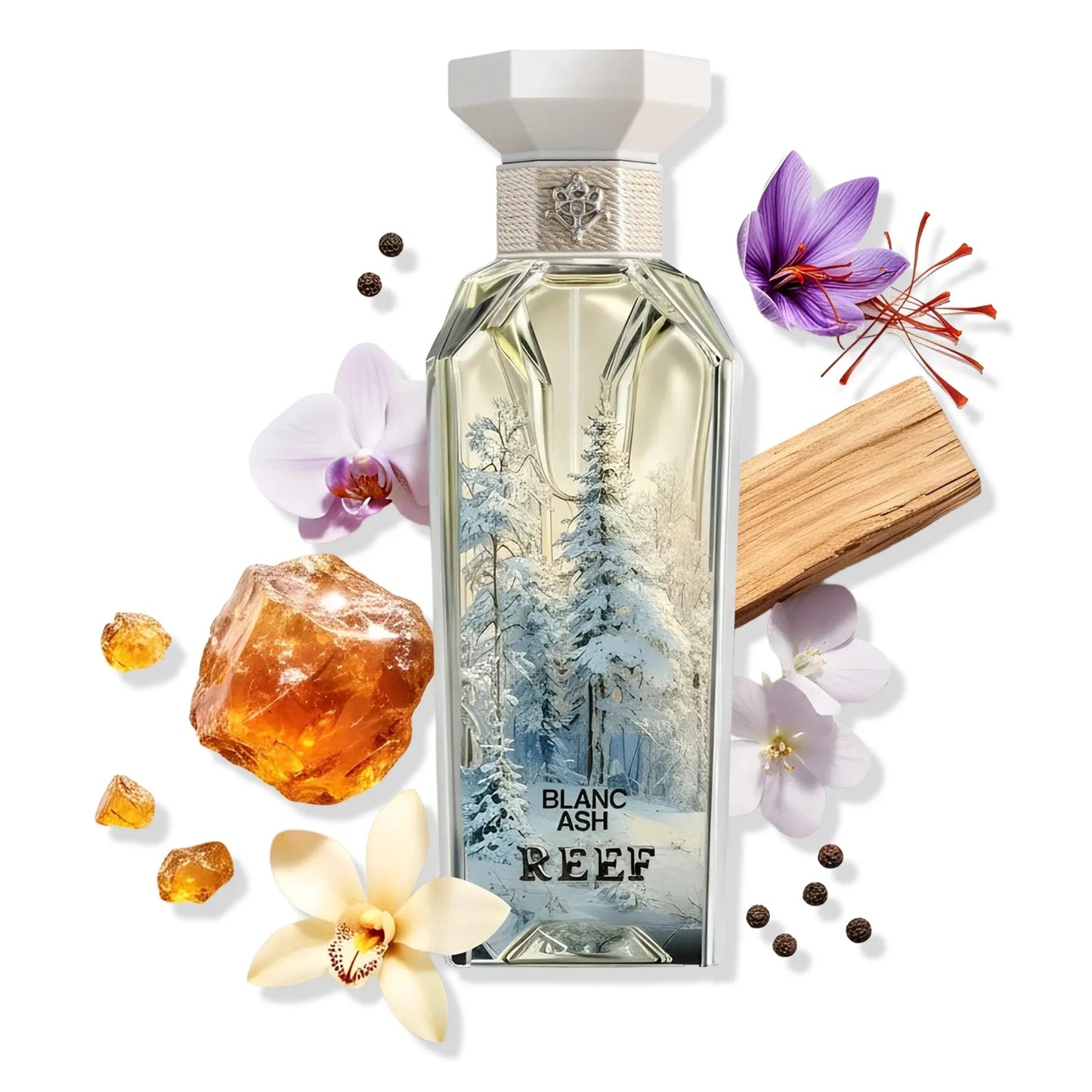 Blanc Ash | Unisex Eau De Parfum 150ml | By Reef - Amazing Scent