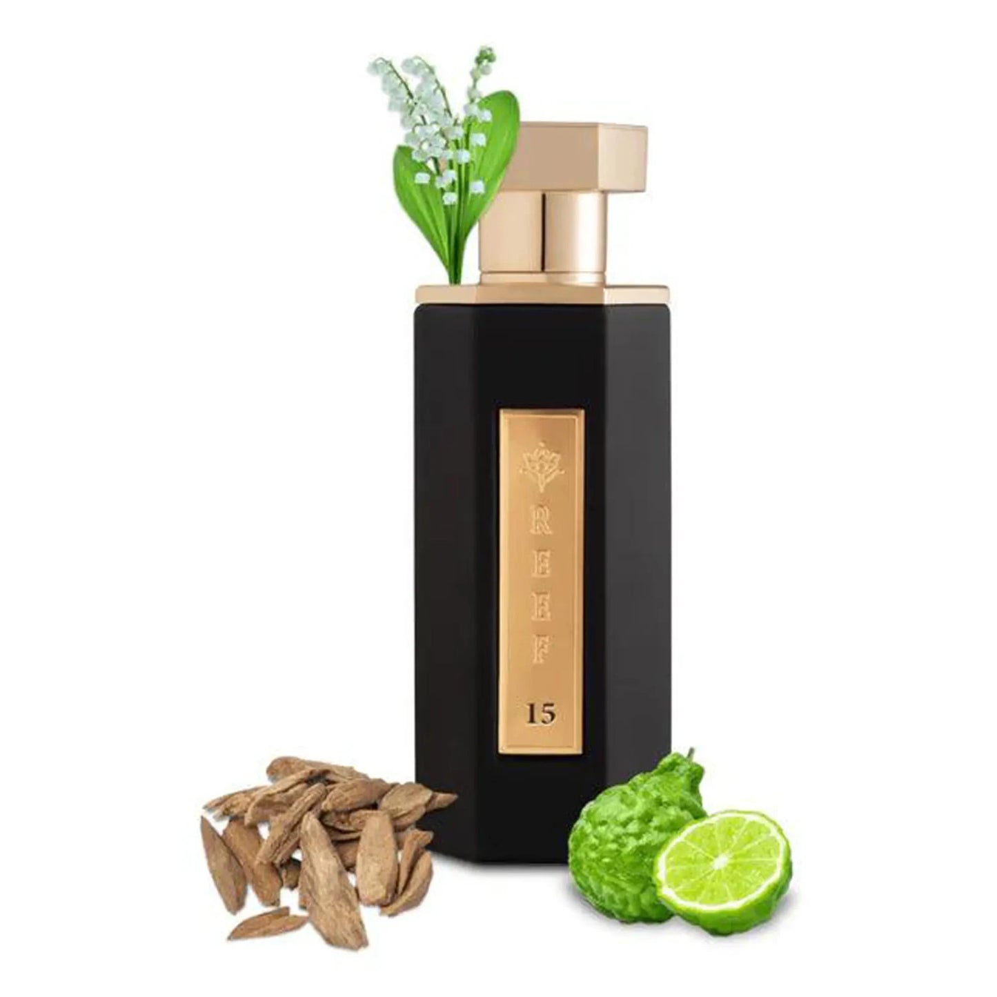 Reef 15 | Unisex Eau De Parfum 100ml | By Reef - Amazing Scent